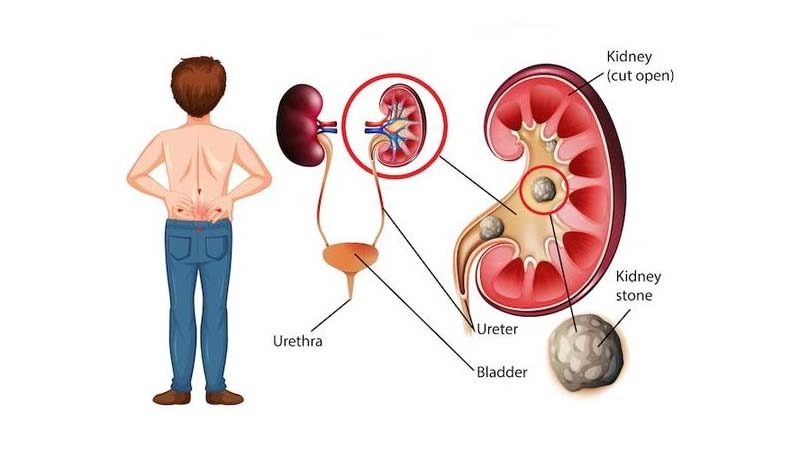 BestHomeopathyClinic Homeopathy